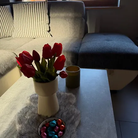 Apartment Wg-zimmer-monteurzimmer-ferienwohnung Bis 10 Personen